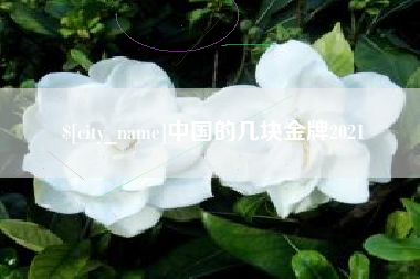 桦甸中国的几块金牌2021
