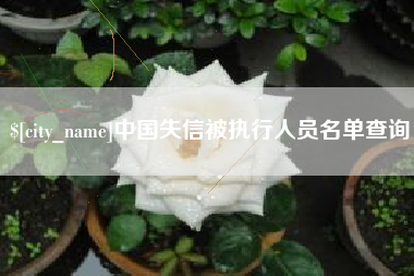 桦甸中国失信被执行人员名单查询