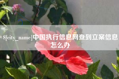 桦甸中国执行信息网查到立案信息怎么办