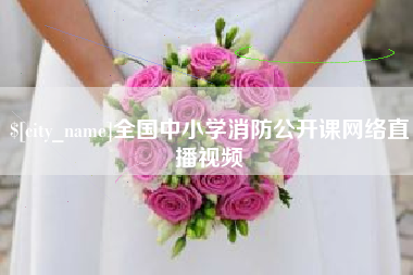 桦甸全国中小学消防公开课网络直播视频