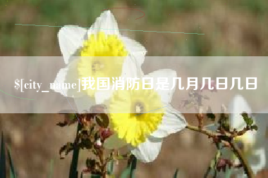 桦甸我国消防日是几月几日几日
