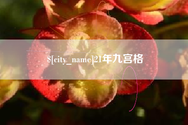 桦甸21年九宫格