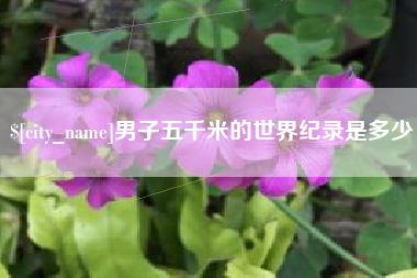 桦甸男子五千米的世界纪录是多少