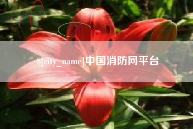 桦甸中国消防网平台