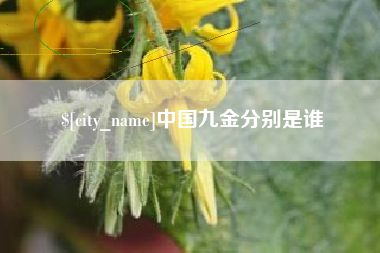 桦甸中国九金分别是谁