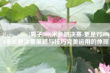 桦甸男子5000米长跑决赛-更是对5000米长跑决赛策略与技巧完美运用的体现