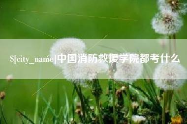 桦甸中国消防救援学院都考什么