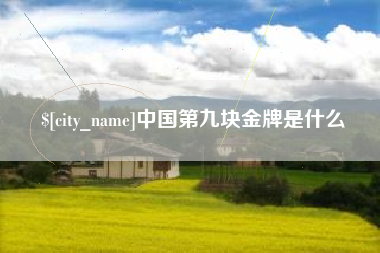 桦甸中国第九块金牌是什么
