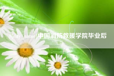 桦甸中国消防救援学院毕业后