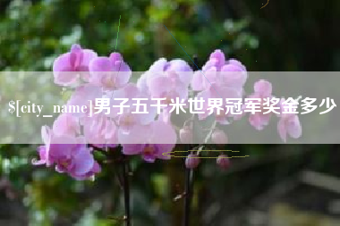 桦甸男子五千米世界冠军奖金多少