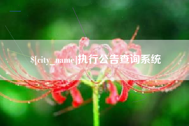 桦甸执行公告查询系统