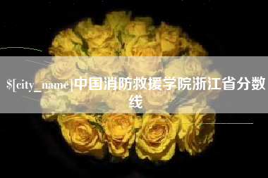 桦甸中国消防救援学院浙江省分数线