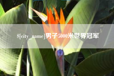 桦甸男子5000米世界冠军