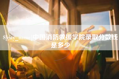 桦甸中国消防救援学院录取分数线是多少