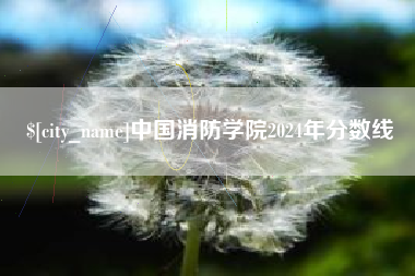 桦甸中国消防学院2024年分数线