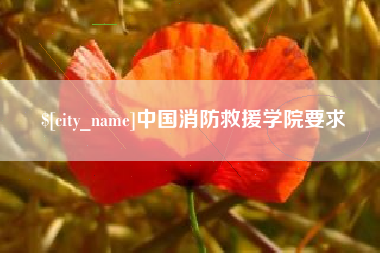 桦甸中国消防救援学院要求