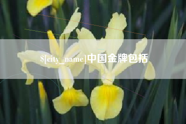 桦甸中国金牌包括
