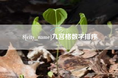 桦甸九宫格数字排序