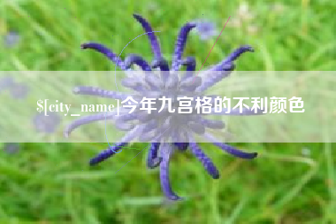 桦甸今年九宫格的不利颜色