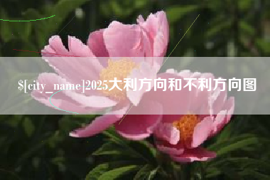 桦甸2025大利方向和不利方向图