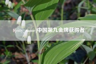 桦甸中国第九金牌获得者