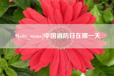 桦甸中国消防日在哪一天