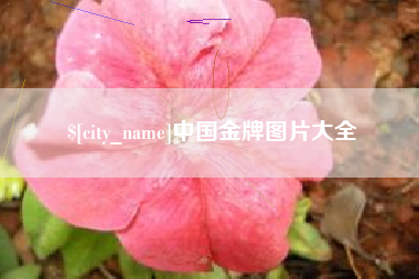 桦甸中国金牌图片大全
