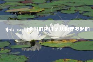 桦甸全国消防日是从哪年发起的