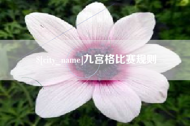 桦甸九宫格比赛规则