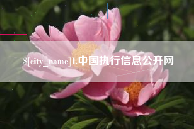 桦甸1.中国执行信息公开网