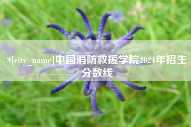 桦甸中国消防救援学院2024年招生分数线