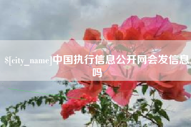 桦甸中国执行信息公开网会发信息吗