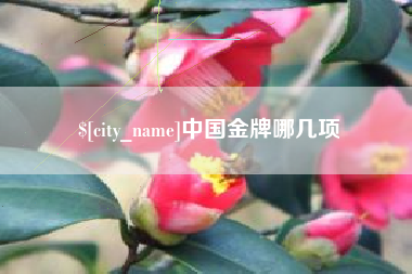 桦甸中国金牌哪几项