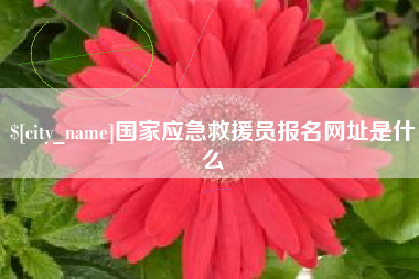 桦甸国家应急救援员报名网址是什么