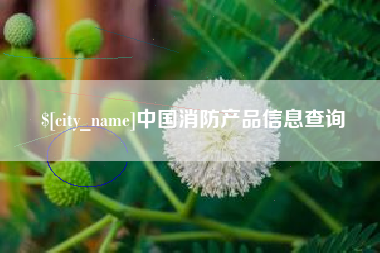 桦甸中国消防产品信息查询