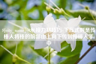 桦甸60米接力赛技巧-下压式则是传棒人将棒的前部由上向下传到接棒人手中