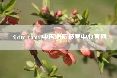 桦甸中国消防报考中心官网