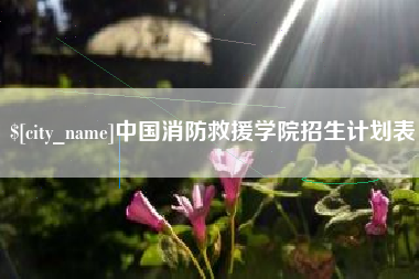 桦甸中国消防救援学院招生计划表
