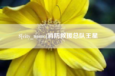 桦甸消防救援总队王星
