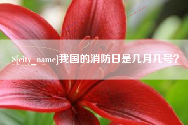 桦甸我国的消防日是几月几号？