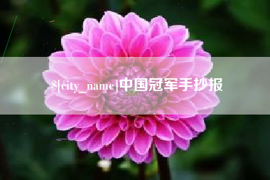 桦甸中国冠军手抄报