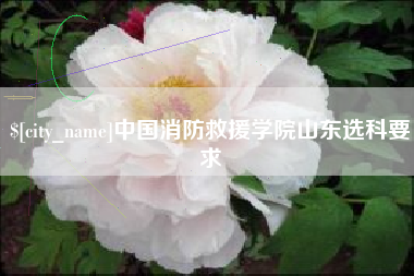 桦甸中国消防救援学院山东选科要求