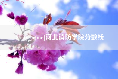 桦甸河北消防学院分数线