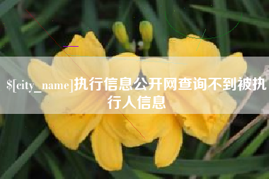 桦甸执行信息公开网查询不到被执行人信息