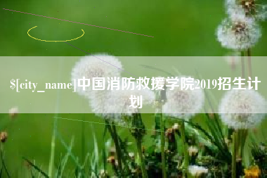 桦甸中国消防救援学院2019招生计划