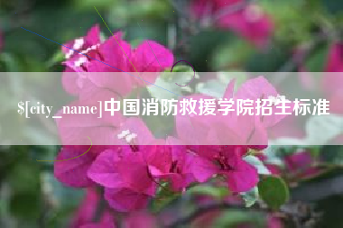 桦甸中国消防救援学院招生标准
