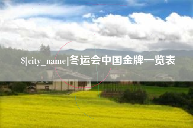 桦甸冬运会中国金牌一览表