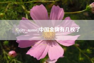 桦甸中国金牌有几枚了