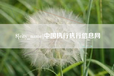桦甸中国执行执行信息网