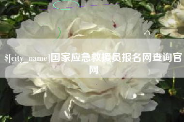 桦甸国家应急救援员报名网查询官网
